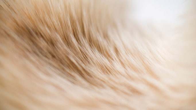 porssitiedote_270317